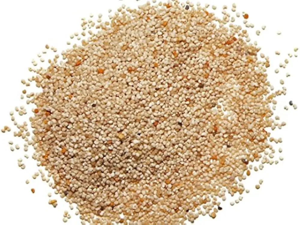 Khas Khas 50 gms
