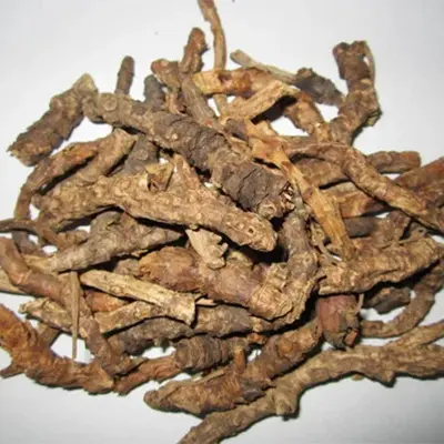 Kutki (Picrorhiza kurroa) 50gm