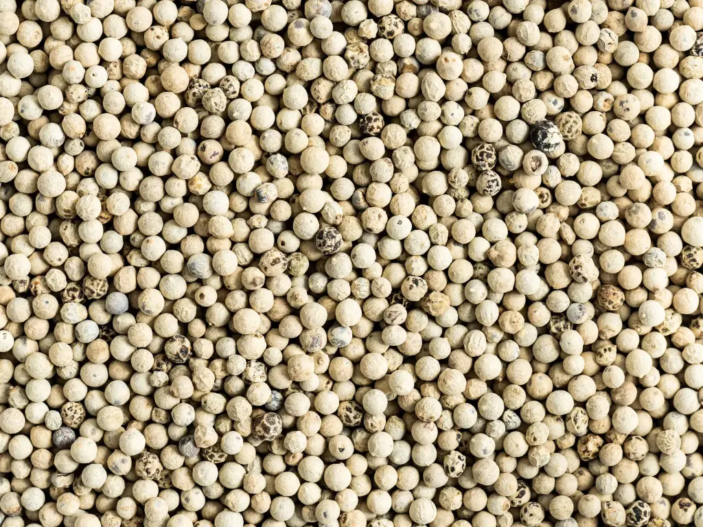 Safed Mirch (White Pepper)100gm
