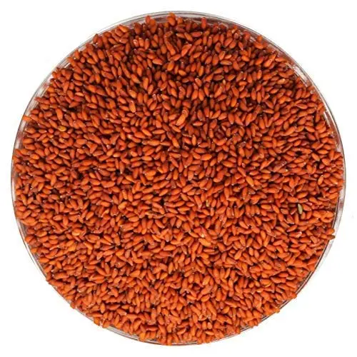 Halem Seeds 100gm