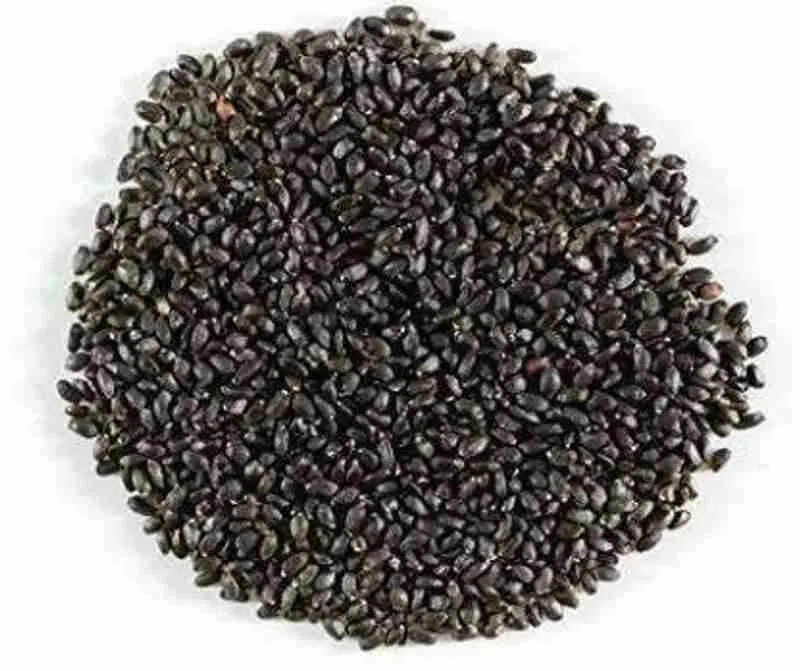 Tulsi Seeds 100gm