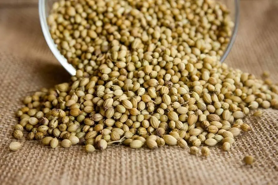 Khada Dhaniya 500 gms