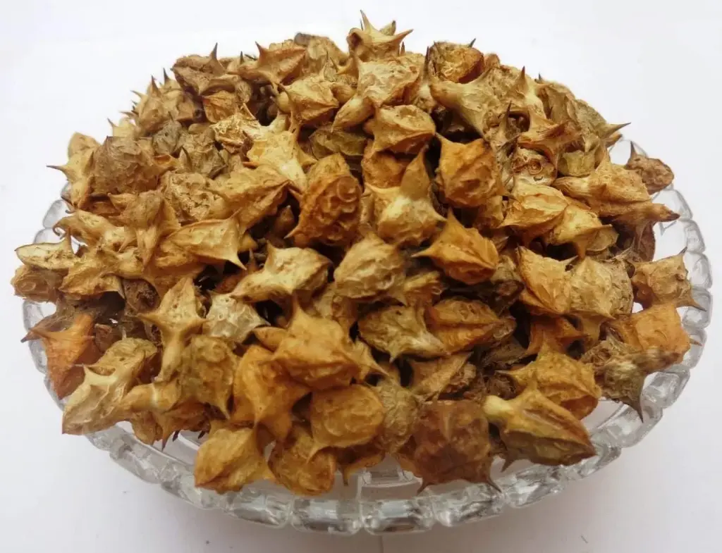 Gokharu (Large) 100 gm