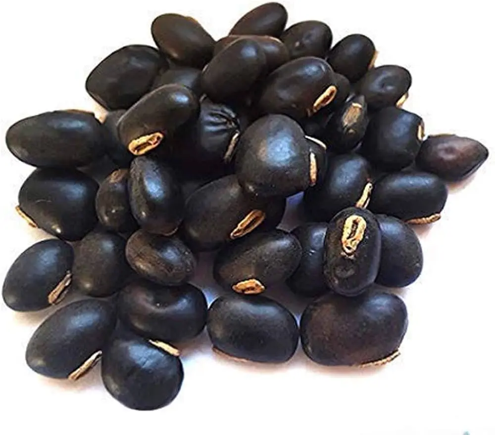 Kaunch Seeds(Black) 250gm