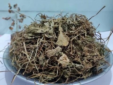 Brahmi 100gm