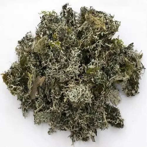 Chabila 25GM