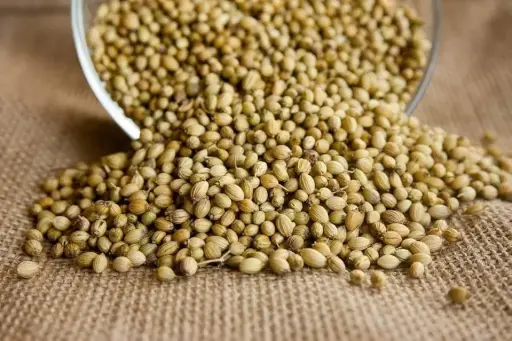 Khada Dhaniya 500 gms